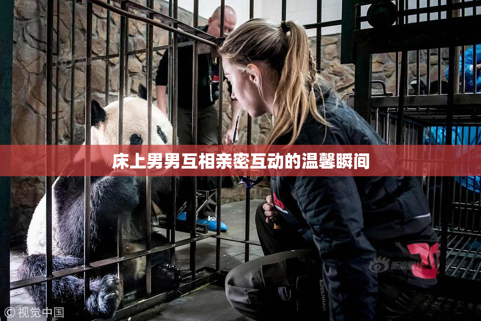 床上男男互相亲密互动的温馨瞬间