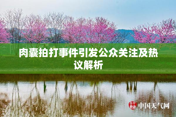 肉囊拍打事件引发公众关注及热议解析