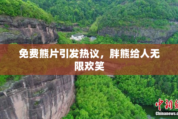 免费熊片引发热议，胖熊给人无限欢笑