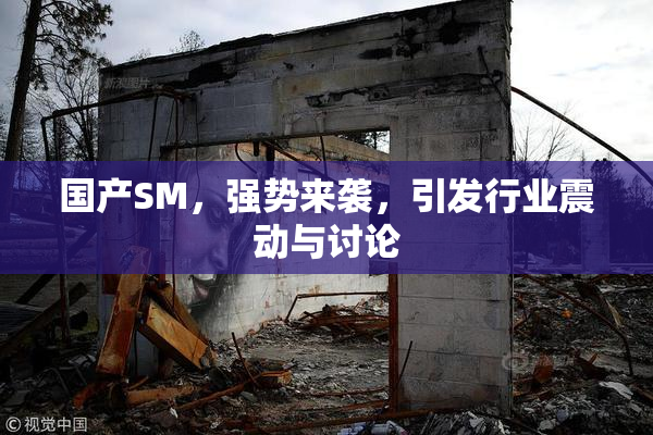 国产SM，强势来袭，引发行业震动与讨论