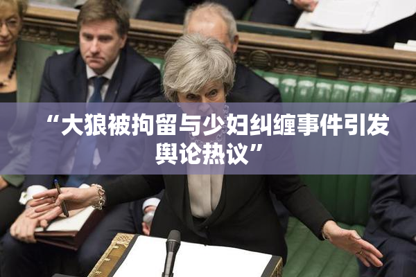 “大狼被拘留与少妇纠缠事件引发舆论热议”
