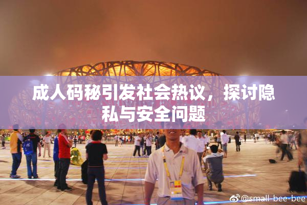 成人码秘引发社会热议，探讨隐私与安全问题