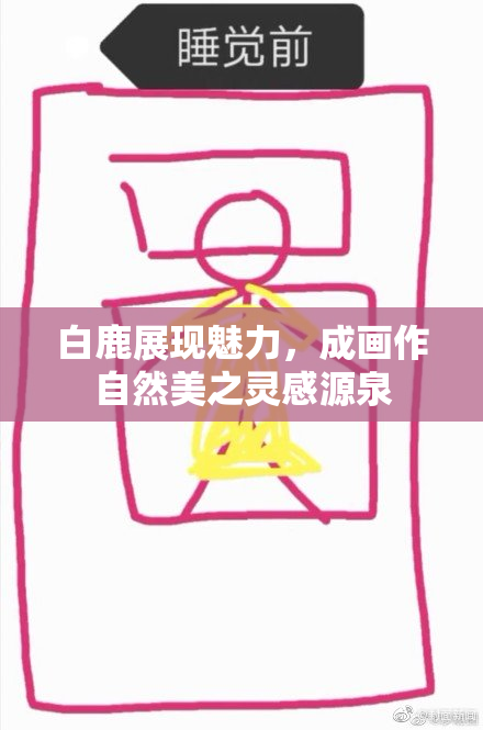 白鹿展现魅力，成画作自然美之灵感源泉