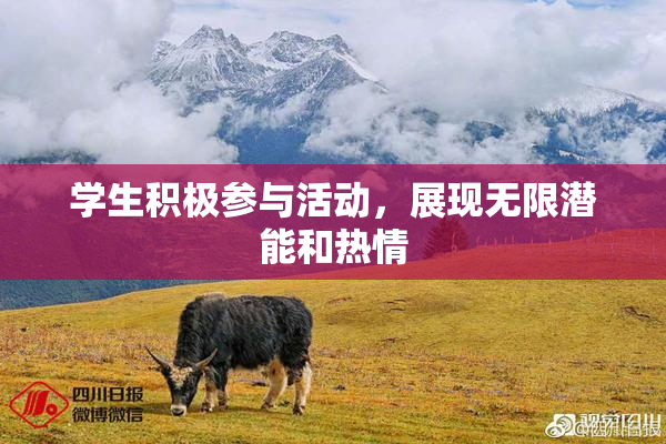 学生积极参与活动，展现无限潜能和热情
