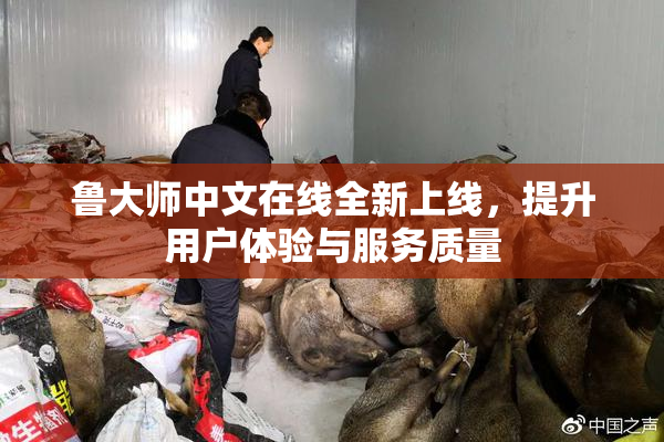 鲁大师中文在线全新上线，提升用户体验与服务质量