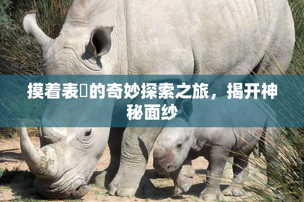 摸着表妺的奇妙探索之旅，揭开神秘面纱