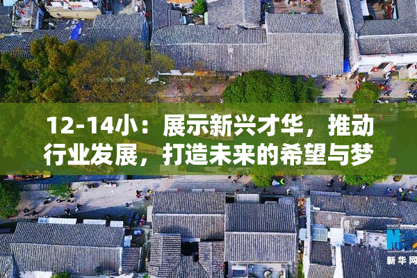 12-14小：展示新兴才华，推动行业发展，打造未来的希望与梦想。