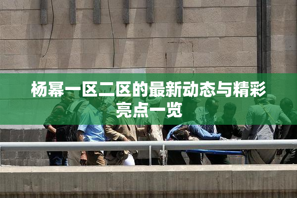 杨幂一区二区的最新动态与精彩亮点一览