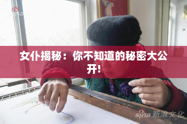 女仆揭秘：你不知道的秘密大公开!