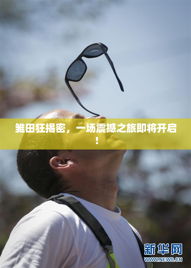 雏田狂揭密，一场震撼之旅即将开启！