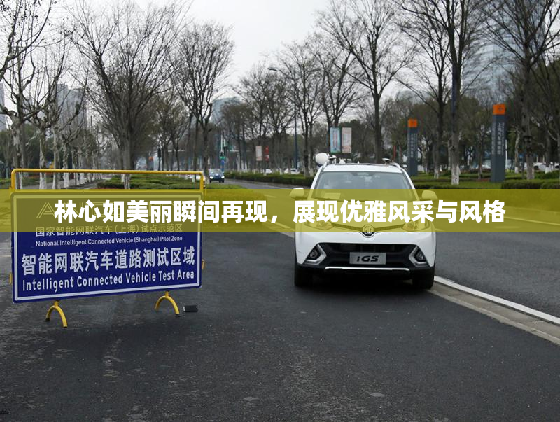 林心如美丽瞬间再现，展现优雅风采与风格