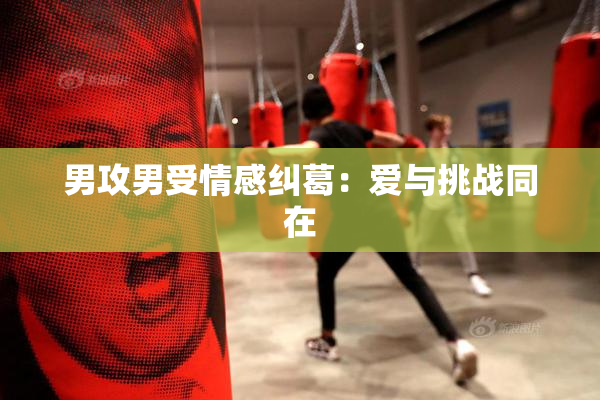 男攻男受情感纠葛：爱与挑战同在