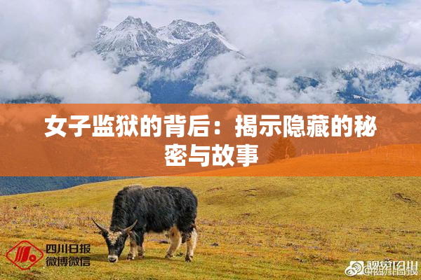 女子监狱的背后：揭示隐藏的秘密与故事