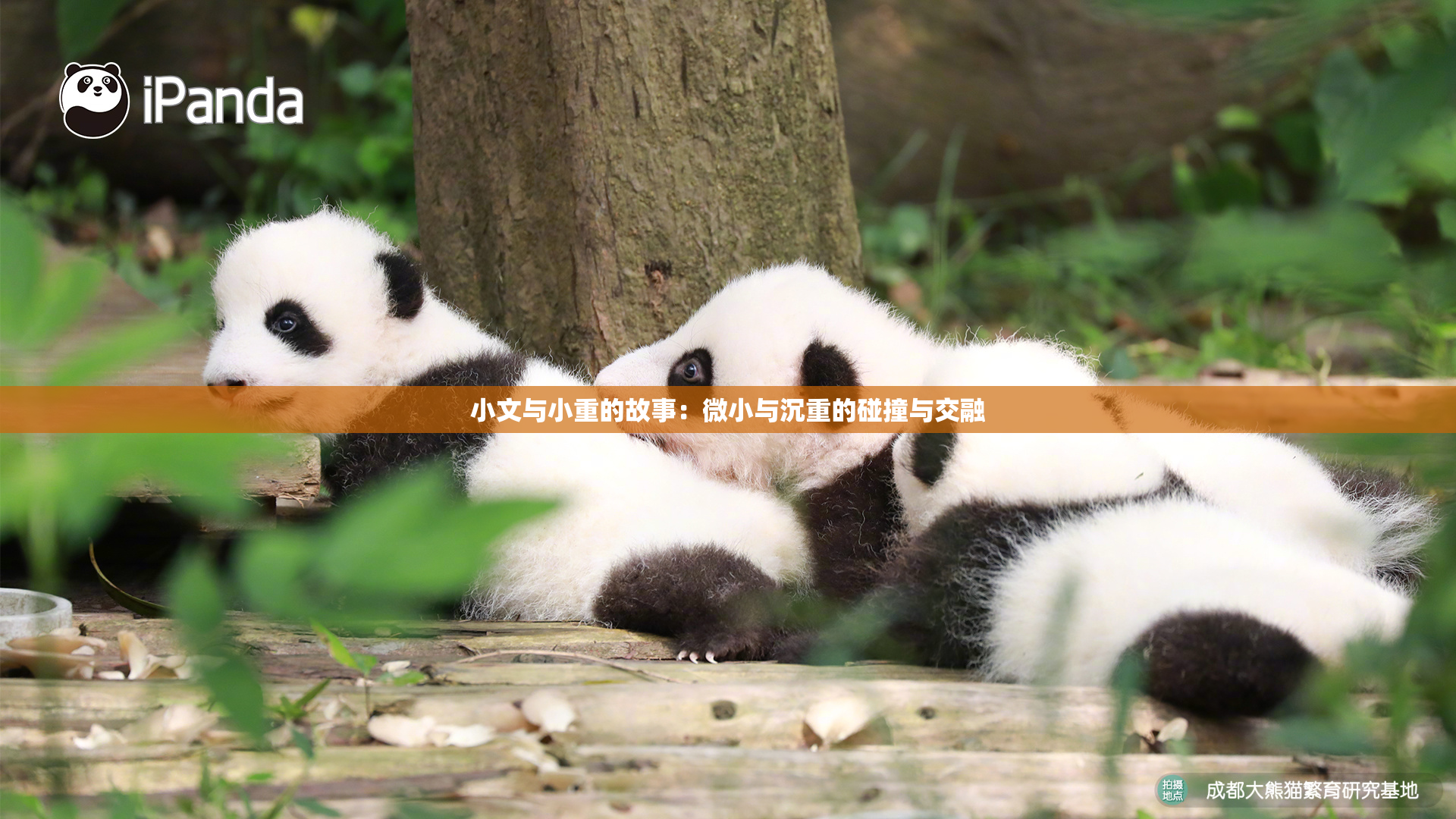 小文与小重的故事：微小与沉重的碰撞与交融