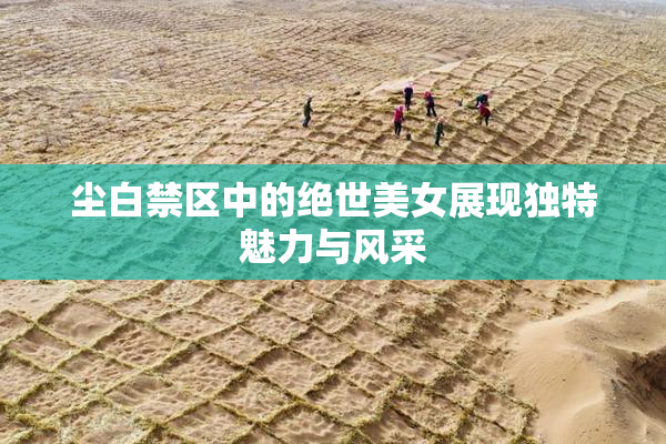 尘白禁区中的绝世美女展现独特魅力与风采