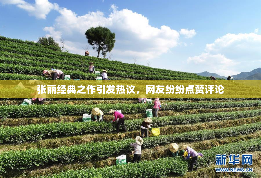 张丽经典之作引发热议，网友纷纷点赞评论
