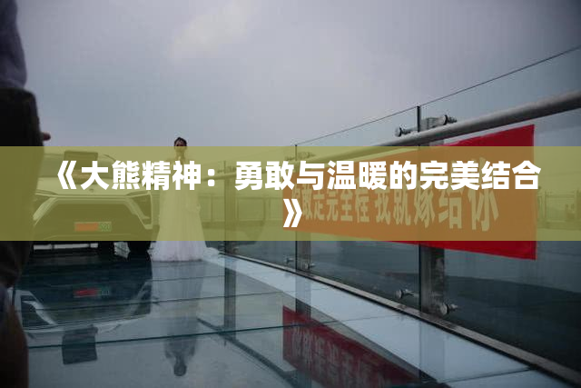 《大熊精神：勇敢与温暖的完美结合》