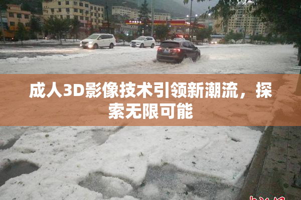 成人3D影像技术引领新潮流，探索无限可能