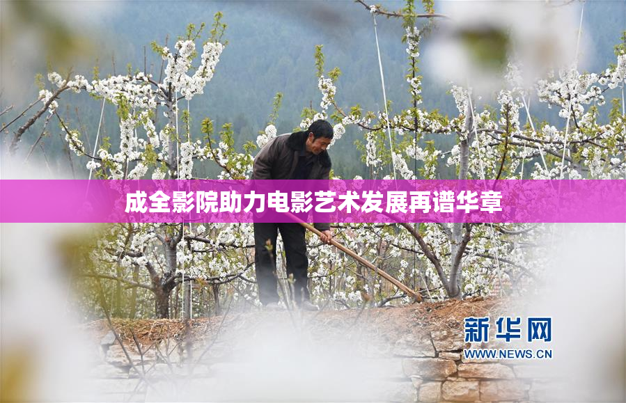 成全影院助力电影艺术发展再谱华章