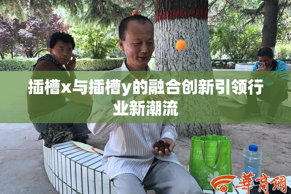 插槽x与插槽y的融合创新引领行业新潮流