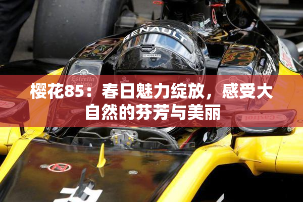 樱花85：春日魅力绽放，感受大自然的芬芳与美丽