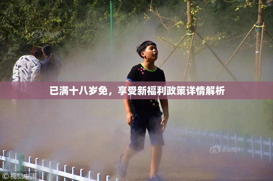 已满十八岁免，享受新福利政策详情解析