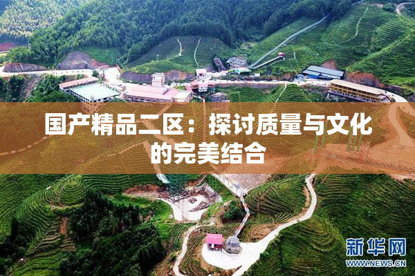 国产精品二区：探讨质量与文化的完美结合