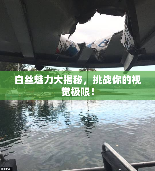白丝魅力大揭秘，挑战你的视觉极限！