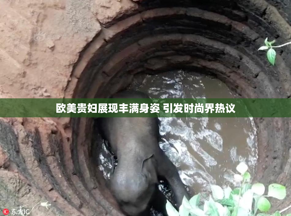 欧美贵妇展现丰满身姿 引发时尚界热议