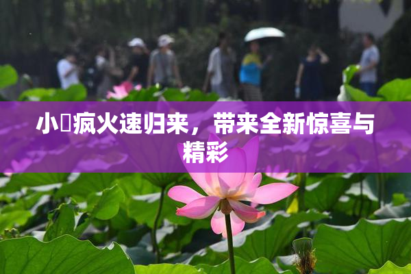 小泬疯火速归来，带来全新惊喜与精彩