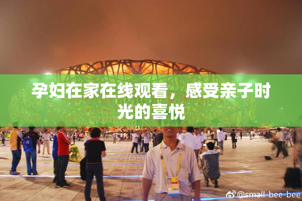 孕妇在家在线观看，感受亲子时光的喜悦