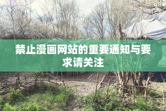 禁止漫画网站的重要通知与要求请关注