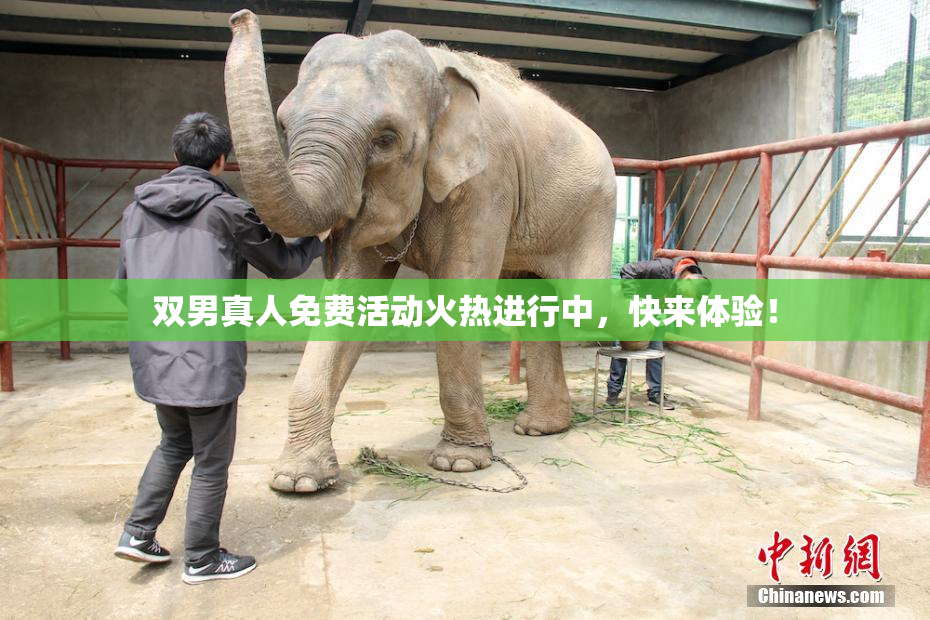 双男真人免费活动火热进行中，快来体验！