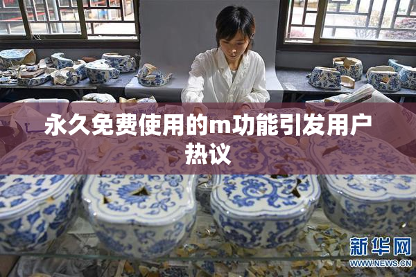 永久免费使用的m功能引发用户热议