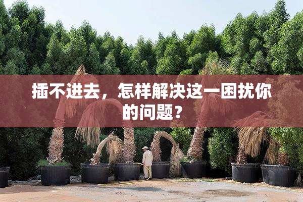 插不进去，怎样解决这一困扰你的问题？