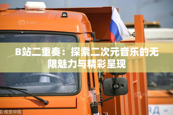 B站二重奏：探索二次元音乐的无限魅力与精彩呈现