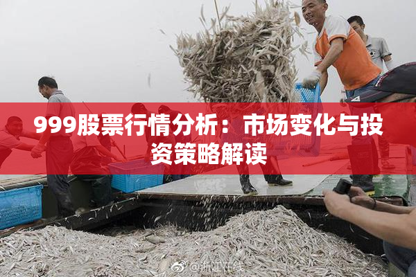 999股票行情分析：市场变化与投资策略解读