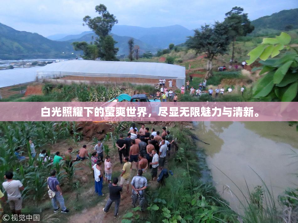 白光照耀下的莹爽世界，尽显无限魅力与清新。