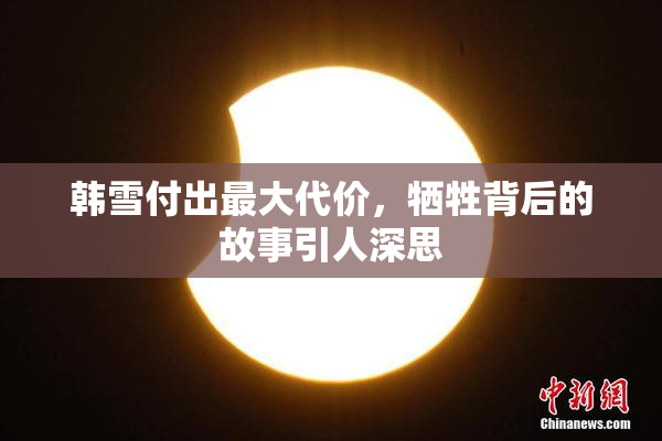 韩雪付出最大代价，牺牲背后的故事引人深思