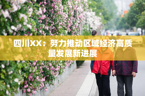四川XX：努力推动区域经济高质量发展新进展