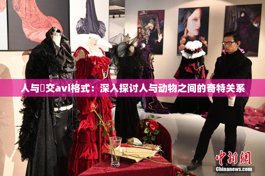 人与嘼交avi格式：深入探讨人与动物之间的奇特关系