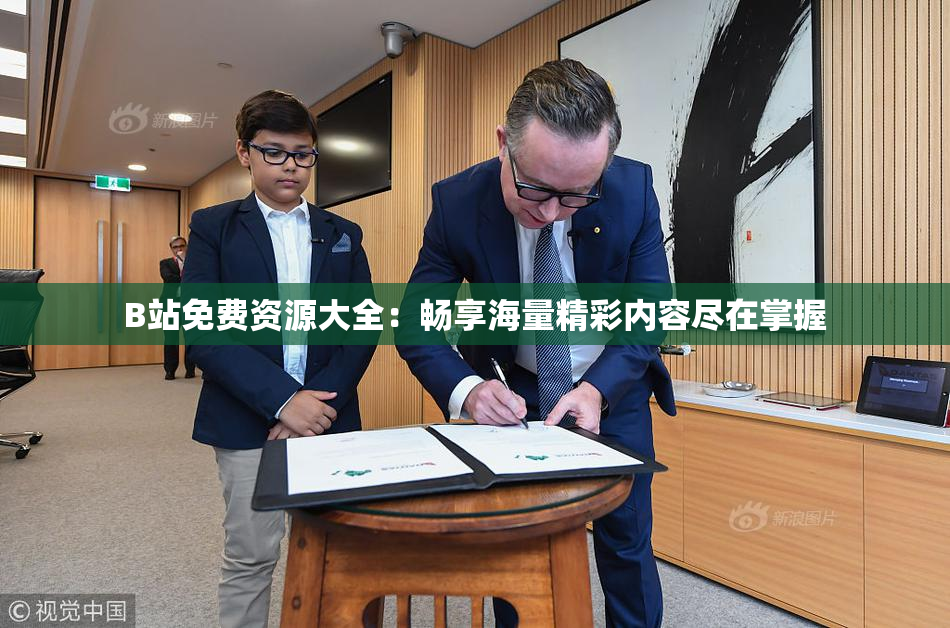 B站免费资源大全：畅享海量精彩内容尽在掌握