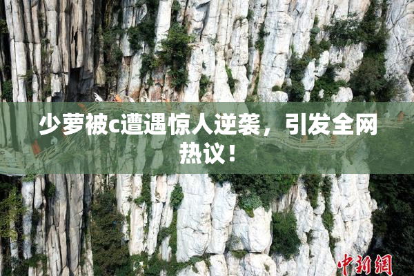 少萝被c遭遇惊人逆袭，引发全网热议！