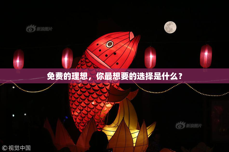 免费的理想，你最想要的选择是什么？