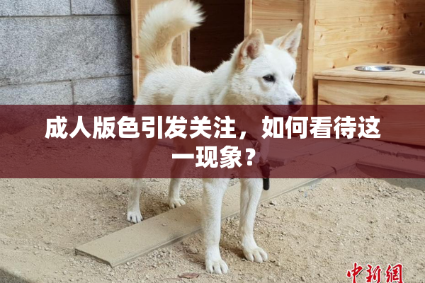 成人版色引发关注，如何看待这一现象？