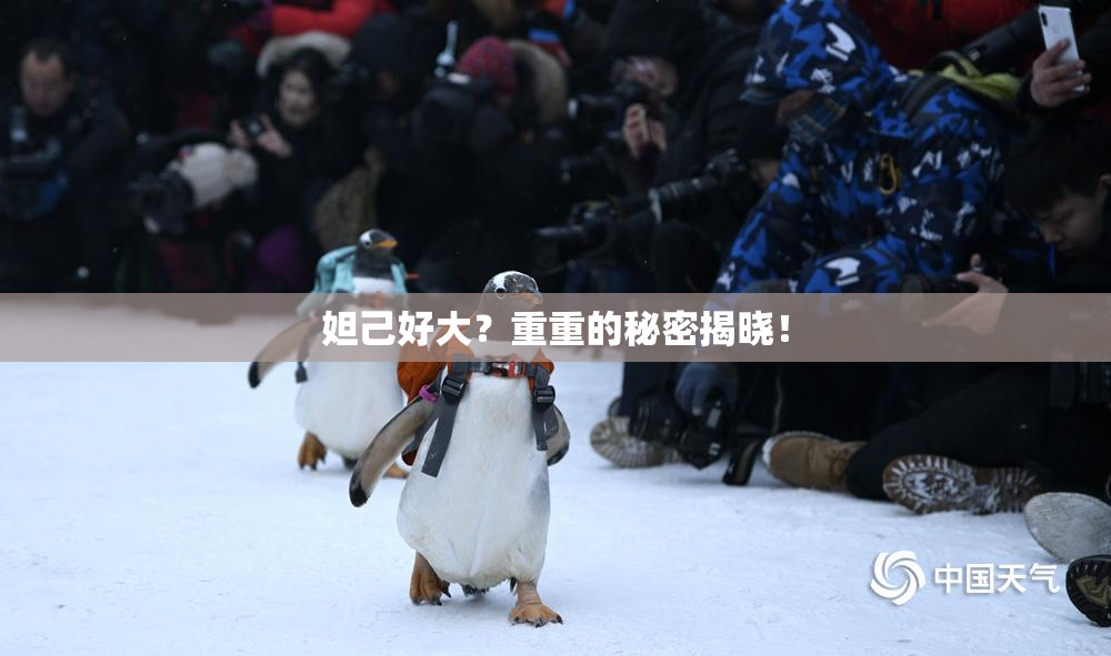 妲己好大？重重的秘密揭晓！