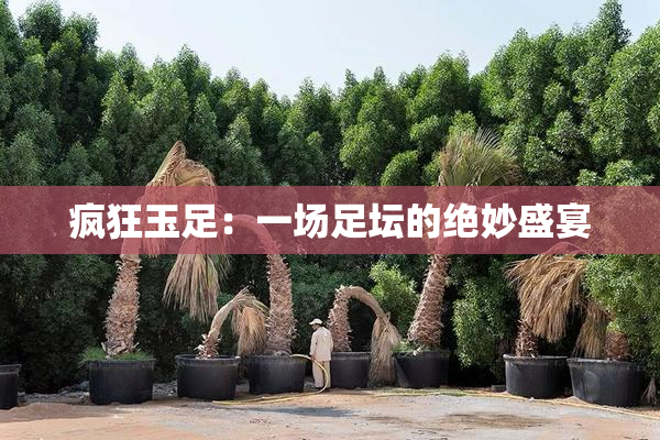 疯狂玉足：一场足坛的绝妙盛宴