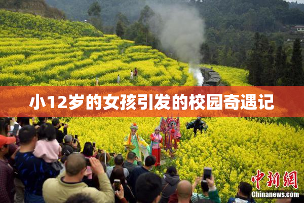 小12岁的女孩引发的校园奇遇记