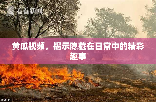 黄瓜视频，揭示隐藏在日常中的精彩趣事