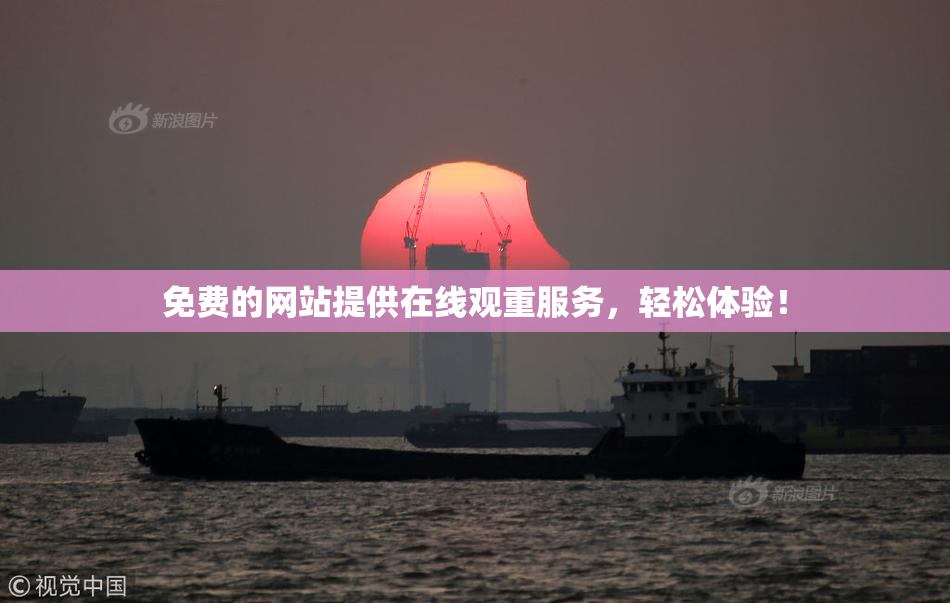 免费的网站提供在线观重服务，轻松体验！